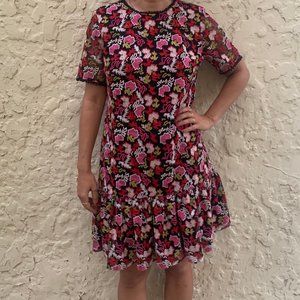 Saloni Floral Embroidered Mini Dress, Size 6